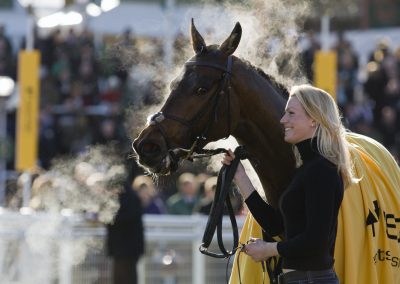 Things you won’t know about Cheltenham Races